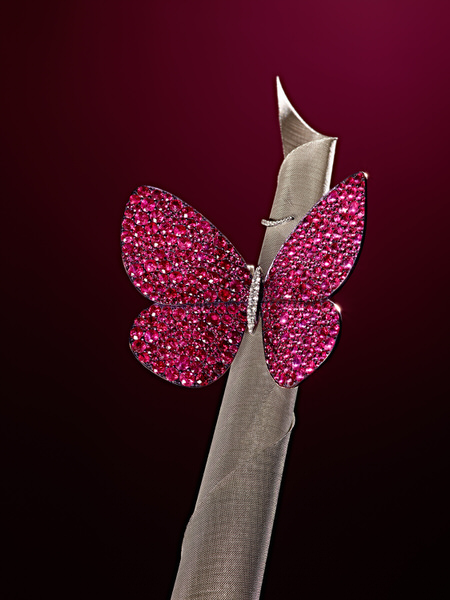 Photograph Robert Tardio Butterfly Ring on One Eyeland