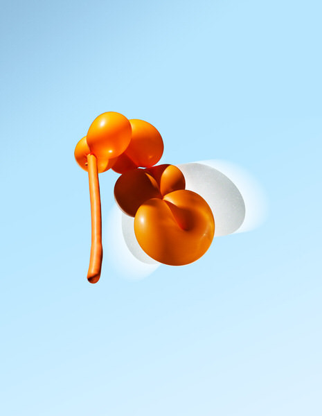 Photograph Francesco Zerilli Mosquito Twisty Balloon on One Eyeland