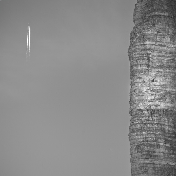 Photograph Peter Svoboda Boys Just Wish To Get Higher on One Eyeland