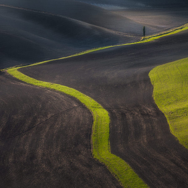 Photograph Peter Svoboda Whar Remains In The Fields on One Eyeland