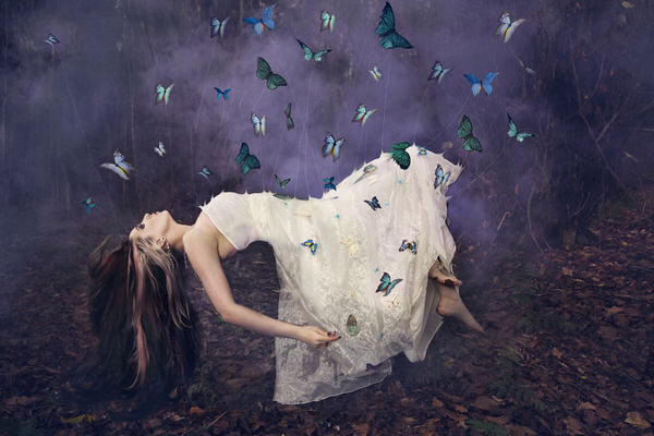 Photograph Angi Wallace Butterflight on One Eyeland