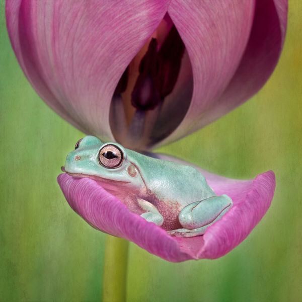 Photograph Angi Wallace Sitting Comfortably on One Eyeland