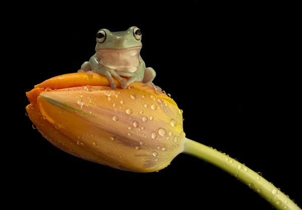 Photograph Angi Wallace Perched on One Eyeland