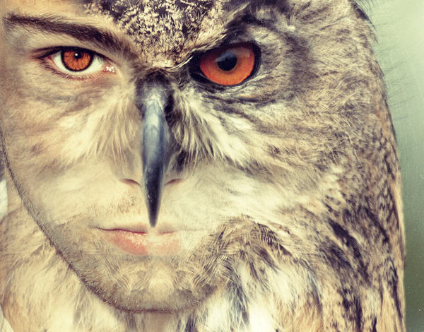 Photograph Angi Wallace Spirit Animal on One Eyeland