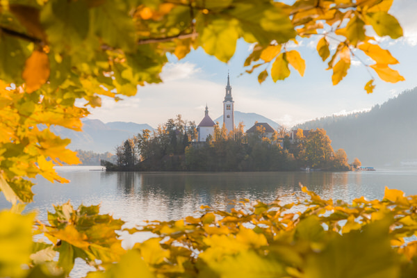 Photograph Jaka Ivancic Golden Autumn Colors At Lake Bled on One Eyeland