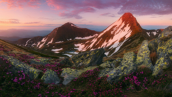 Photograph Zsolt Andras Szabo Springtime on One Eyeland