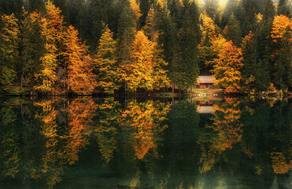 Photograph Ales Krivec Idyllic Cottage on One Eyeland