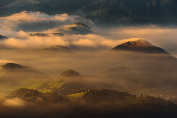 Photograph Zsolt Andras Szabo Morning Swim on One Eyeland
