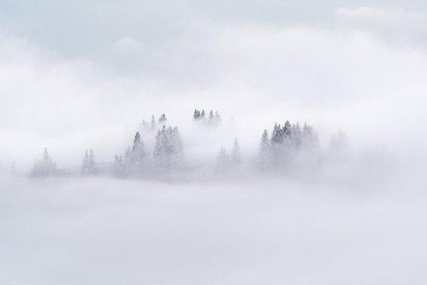 Photograph Ewa Jermakowicz Dreams on One Eyeland