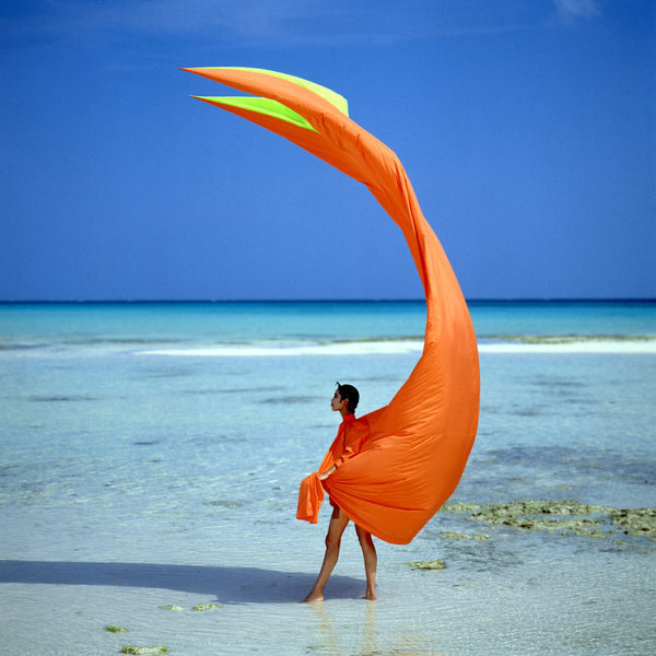 Photograph Bruce Osborn Orange Fish on One Eyeland