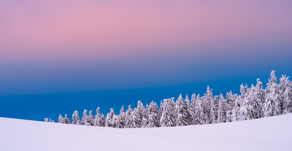 Photograph Zsolt Andras Szabo In Line on One Eyeland