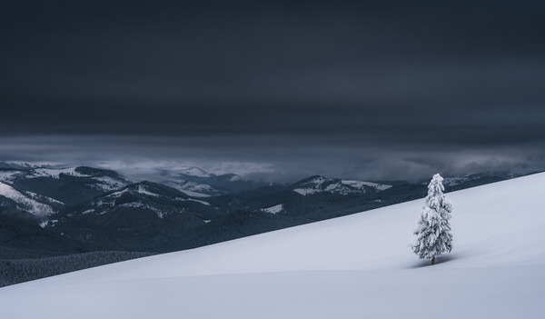 Photograph Zsolt Andras Szabo Pressure on One Eyeland