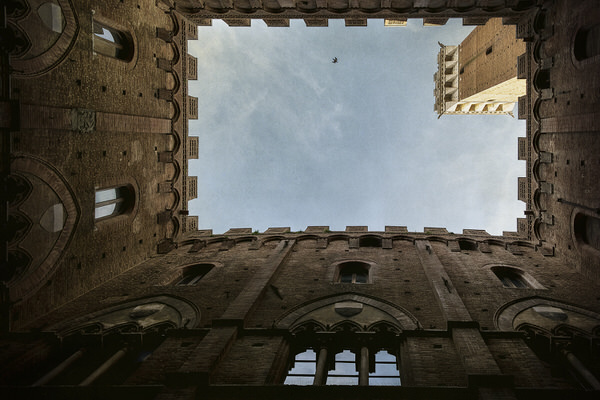 Photograph Olga Merrill Untitled on One Eyeland