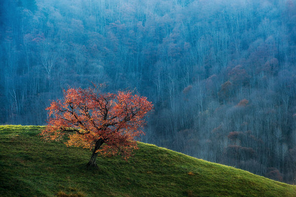 Photograph Kazuaki Koseki Fall Colors on One Eyeland