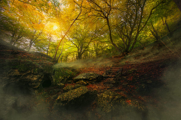 Photograph Alvaro Hernandez Small Mists on One Eyeland