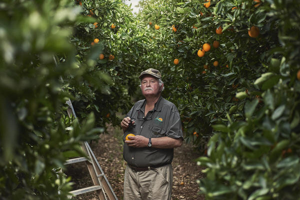 Photograph Devon Krige Fruit Farmer on One Eyeland