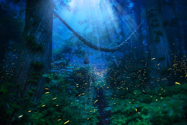 Photograph Kazuaki Koseki Area Of God on One Eyeland