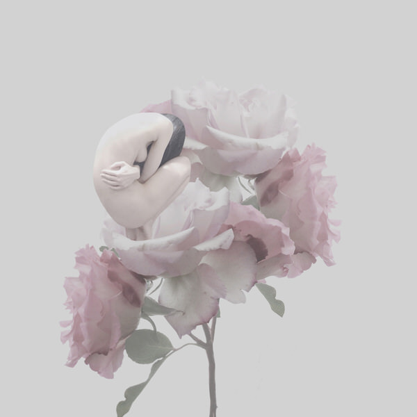 Photograph Sui Sawada Self Portrait Rose on One Eyeland