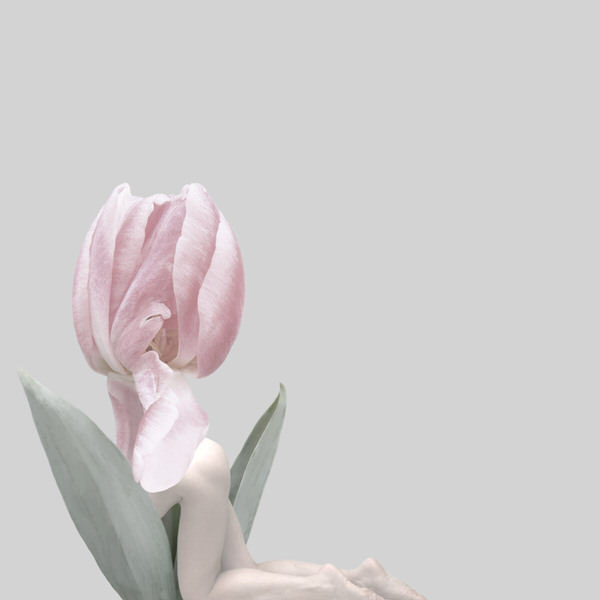 Photograph Sui Sawada Self Portrait Tulip on One Eyeland