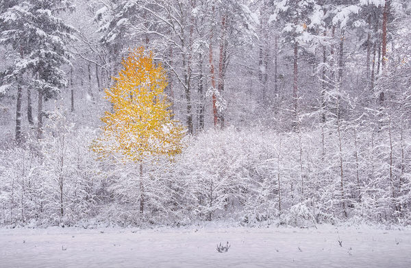 Photograph Ales Krivec Transition on One Eyeland