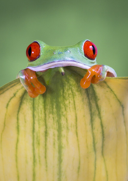 Photograph Angi Wallace That Monday Morning Feeling on One Eyeland