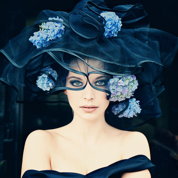 Photograph Mandy Hady Schulte Black Widow on One Eyeland