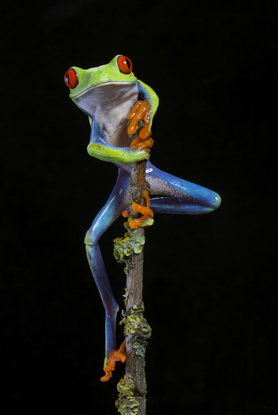 Photograph Angi Wallace On The Lookout on One Eyeland