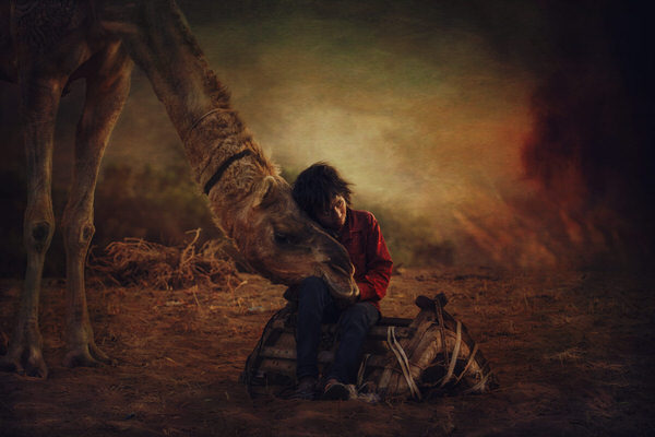 Photograph Svetlin Yosifov Camel Boy on One Eyeland