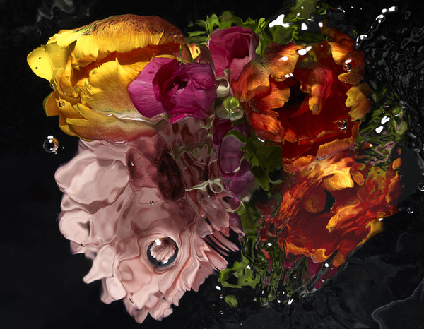 Photograph Mark Mawson Flowers Underwater on One Eyeland