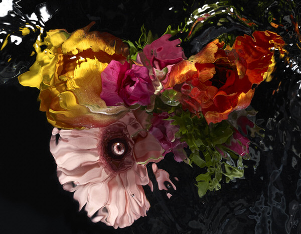 Photograph Mark Mawson Underwater Flowers on One Eyeland