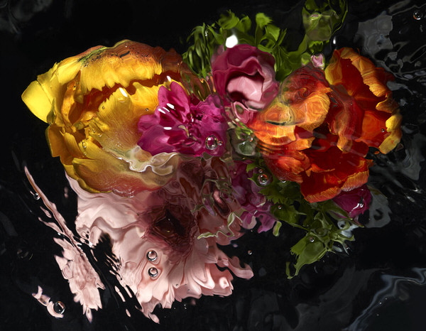 Photograph Mark Mawson Underwater Flowers on One Eyeland
