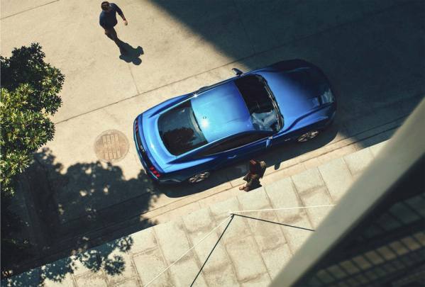 Photograph Patrick Curtet Blue Mustang on One Eyeland