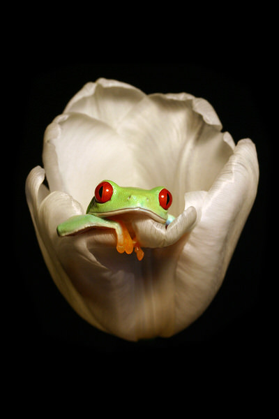 Photograph Angi Wallace Just Chillin on One Eyeland