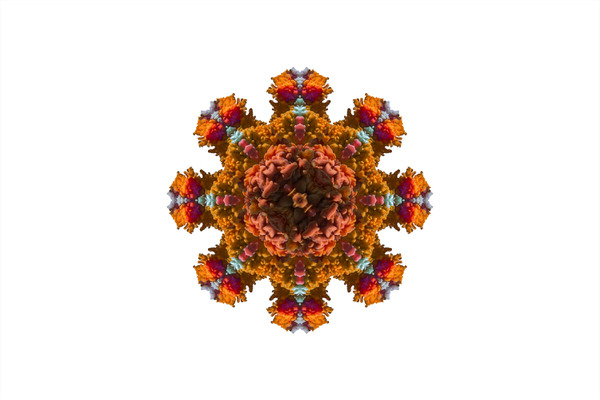 Photograph Joseba Barriola Kaleidoscopic Flower on One Eyeland