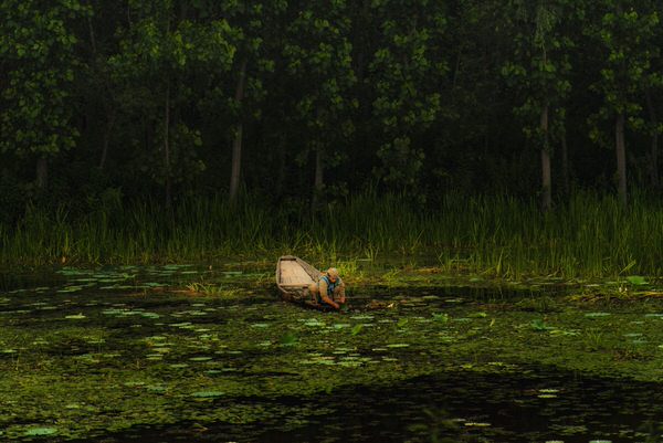 Photograph Yamini Krishna Nature Unbinds on One Eyeland