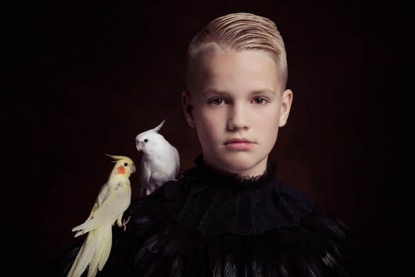 Photograph Henk Veldhuizen Birds on One Eyeland
