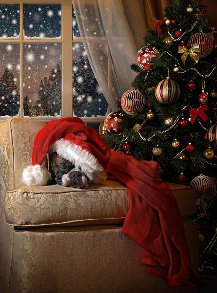 Photograph Ddiarte Ddiarte Waiting For Santa on One Eyeland