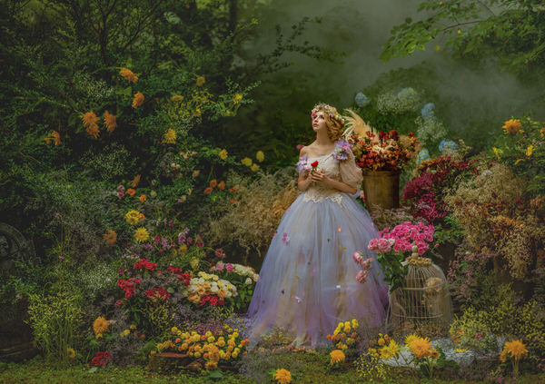 Photograph Haseo Hasegawa Beautiful World 1 on One Eyeland