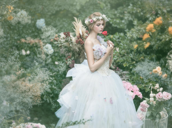 Photograph Haseo Hasegawa Beautiful World 2 on One Eyeland