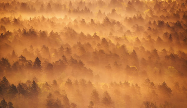 Photograph Ales Krivec Burning Forest on One Eyeland