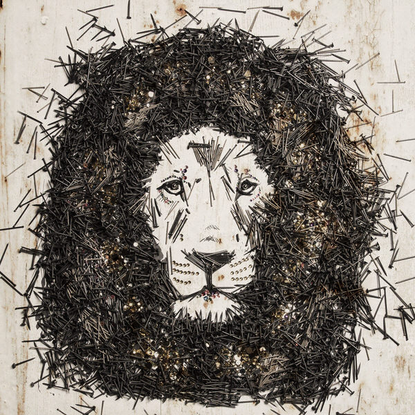 Photograph Hugo Ceneviva Lion  Pollution In Nature Collection on One Eyeland