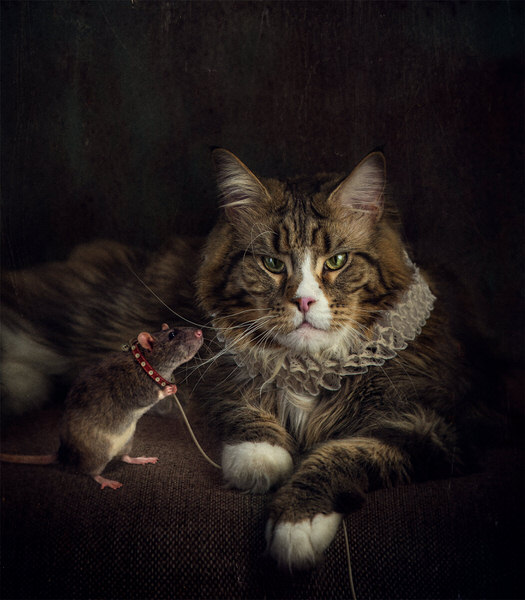 Photograph Svetlana Melik Nubarova Pet Of Pet on One Eyeland