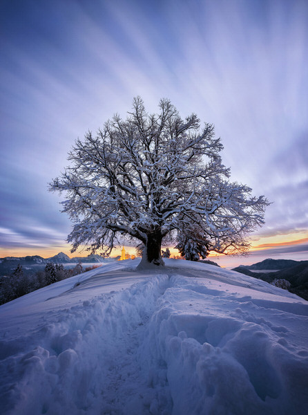 Photograph Ales Krivec Jamnik Hill on One Eyeland