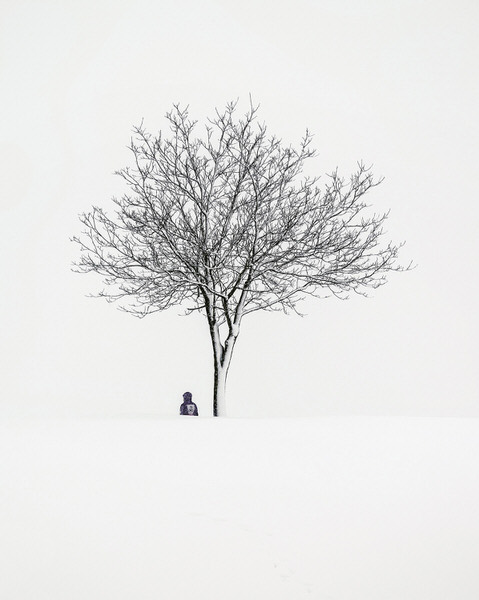 Photograph Ales Krivec Hiding In The Snow on One Eyeland