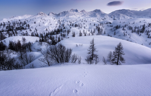 Photograph Ales Krivec Winter Evening on One Eyeland