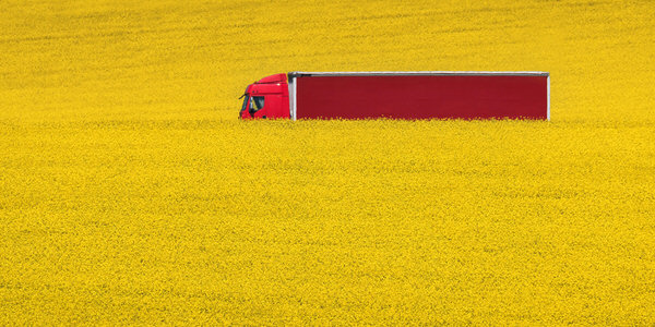 Photograph Ales Krivec Red And Yellow on One Eyeland
