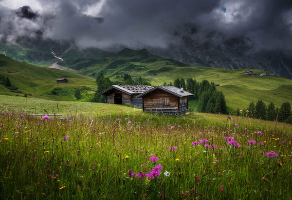 Photograph Ales Krivec Seiser Alm on One Eyeland