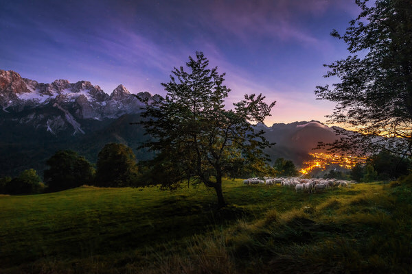 Photograph Ales Krivec In The Night on One Eyeland