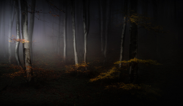 Photograph Veselin Atanasov Fall on One Eyeland