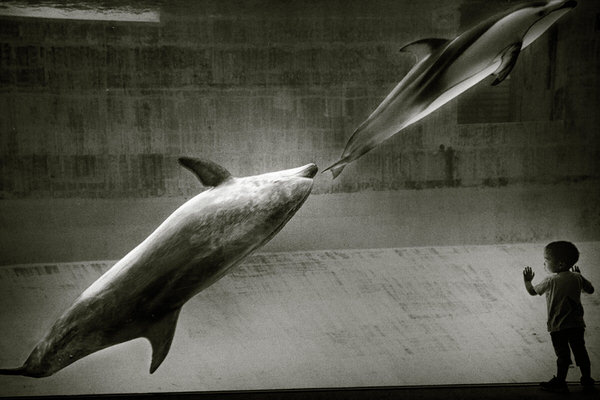 Photograph Kenichiro Hagiwara Genes Of Freedom on One Eyeland